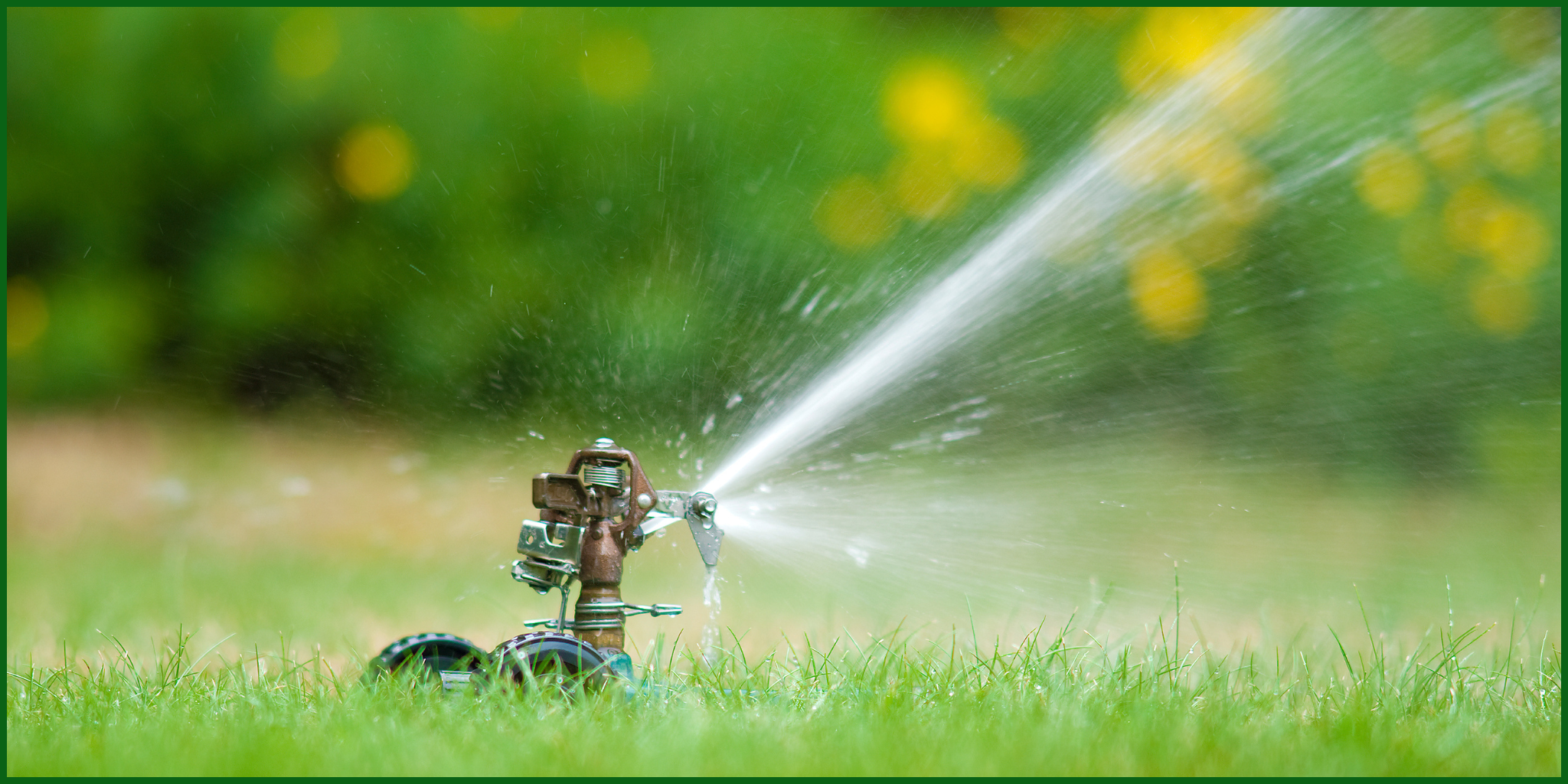 My #1 Lawn Care Tip for Summer in Georgia